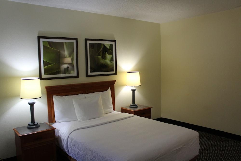 Hotel La Quinta By Wyndham Tampa Brandon West Heartland Esterno foto