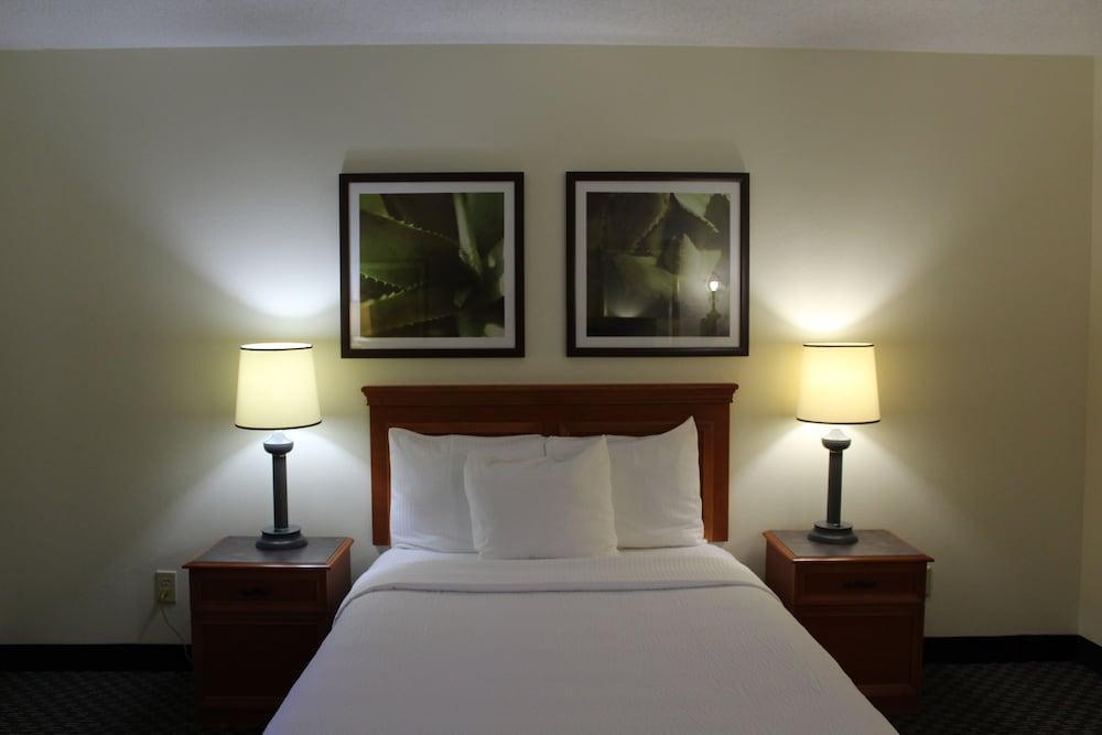 Hotel La Quinta By Wyndham Tampa Brandon West Heartland Esterno foto